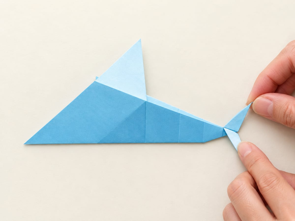 origami shark step 12: fold the nearer tail tip down at its base to separate the tail lobes, hands visible