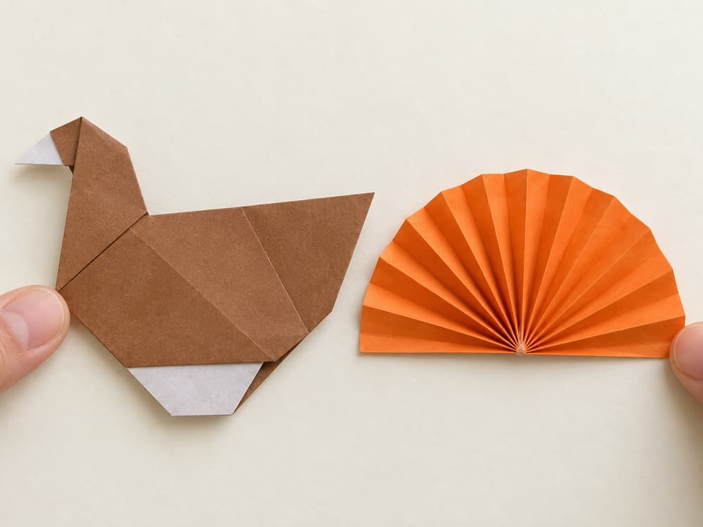origami turkey step 11: spread the pleats into a semicircle and press the glued seam closed, hands visible